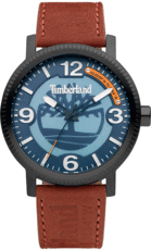 men's watches | only for 15,00 € | IRISIMO