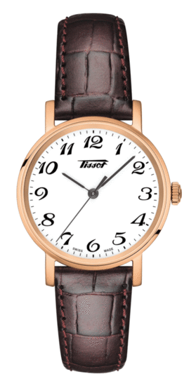 TISSOT EVERYTIME SMALL T109.210.36.012.01
