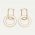 TOMMY HILFIGER CARNATION GOLD-PLATED CIRCLE EARRINGS 2780319