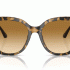 Emporio Armani Women’s Butterfly-Shaped Sunglasses EA4214U 60593B